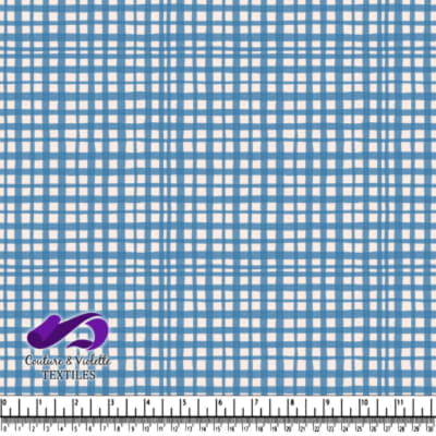 Blue and white plaid textile pattern