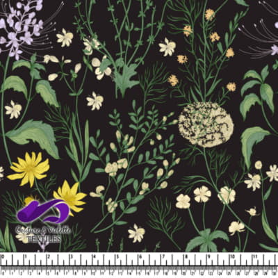 Illustration Botanique de Fleurs Sauvages sur Fond Noir
