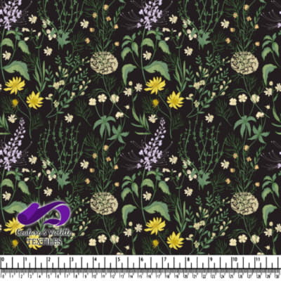 Illustration Botanique de Fleurs Sauvages sur Fond Noir