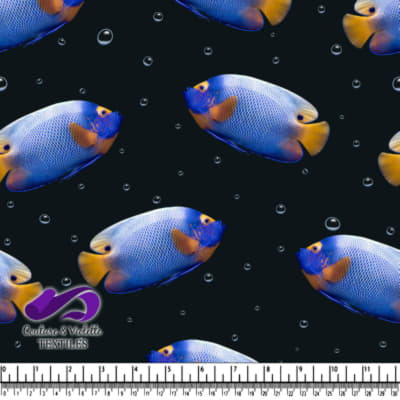 Poisson tropical bleu et jaune sur fond noir