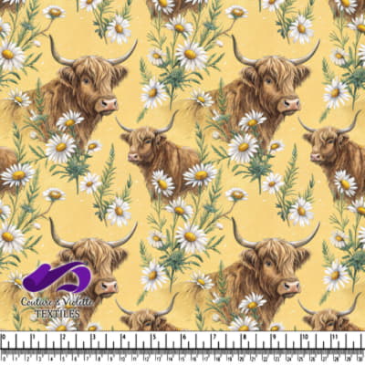 Vaches des Highlands parmi des fleurs de marguerite