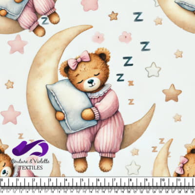Teddy Bear Endormi sur la Lune