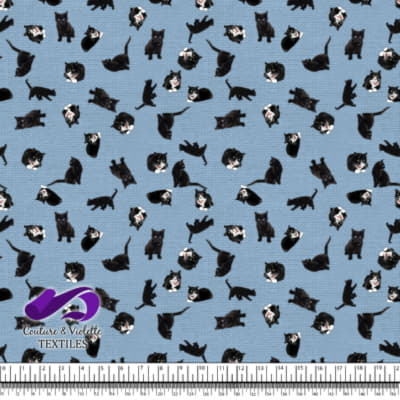 Chat Noir - Chats sur Fond Bleu Ciel Clair