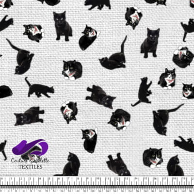 Chat noir - Texture blanche