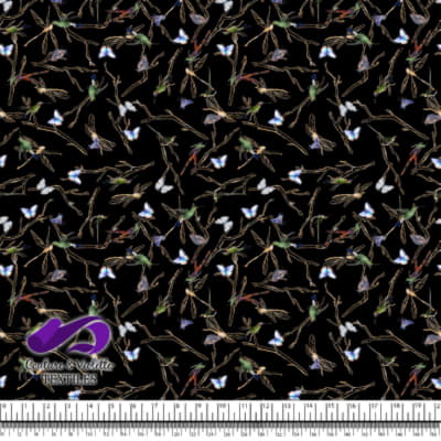 Midsummer Dream - Odonata - Noir