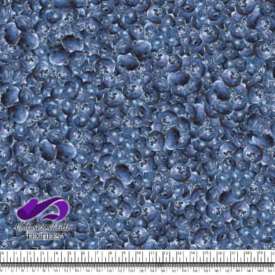 Petits Fruits - Bleuet