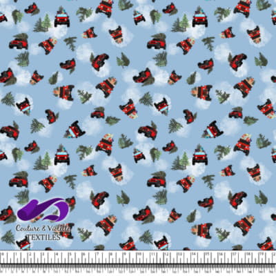 Noel country charm - 4x4 - Bleu ciel