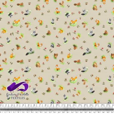 Petits animaux - Animaux de la foret - Cream cloud