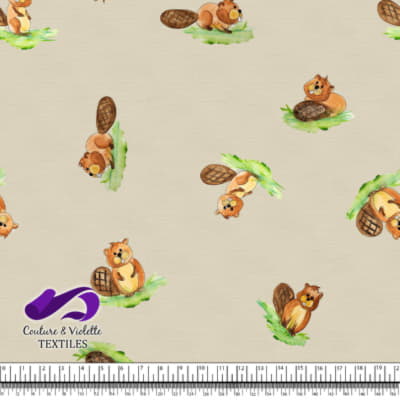 Petits animaux - Castors - Cream cloud