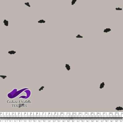 Petit aviateur - nuages - silver cloud