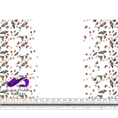 Papillon - Bordure - Blanc